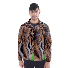 Men s Windbreaker 