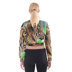 Cropped Sweatshirt 