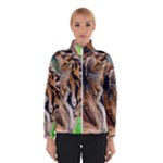 Tiger Winter Jacket