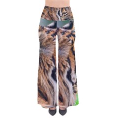 So Vintage Palazzo Pants 