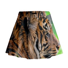 Mini Flare Skirt 