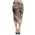 Tiger Midi Pencil Skirt