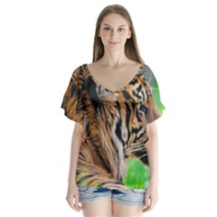 V-Neck Flutter Sleeve Top 