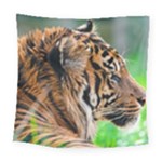 Tiger Square Tapestry (Large)