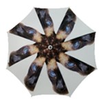 Siamese Cat Golf Umbrella
