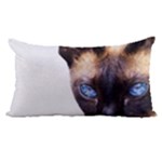 Siamese Cat Samsung Galaxy Note 4 Case (White)