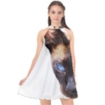 Siamese Cat Halter Neckline Chiffon Dress 