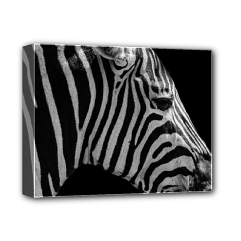 Zebra 3 Deluxe Canvas 14  x 11  (Stretched) from ArtsNow.com