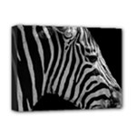 Zebra 3 Deluxe Canvas 16  x 12  (Stretched) 