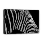 Zebra 3 Deluxe Canvas 18  x 12  (Stretched)
