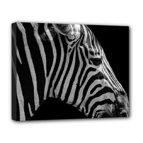 Zebra 3 Deluxe Canvas 20  x 16  (Stretched) from ArtsNow.com