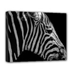 Zebra 3 Deluxe Canvas 20  x 16  (Stretched)