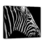Zebra 3 Deluxe Canvas 24  x 20  (Stretched)