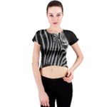 Zebra 3 Crew Neck Crop Top