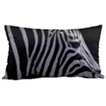 Zebra 3 Samsung Note 4 Hardshell Back Case