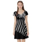 Zebra 3 Short Sleeve Skater Dress