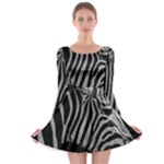 Zebra 3 Long Sleeve Skater Dress