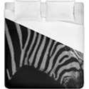 Duvet Cover (King Size) 