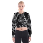 Zebra 3 Cropped Sweatshirt