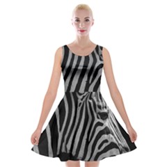 Velvet Skater Dress 