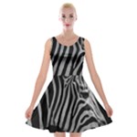 Zebra 3 Velvet Skater Dress