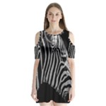 Zebra 3 Shoulder Cutout Velvet  One Piece