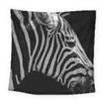 Zebra 3 Square Tapestry (Large)
