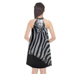 Halter Neckline Chiffon Dress  