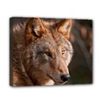 Wolf Canvas 10  x 8  (Stretched)