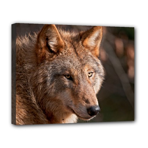 Wolf Canvas 14  x 11  (Stretched) from ArtsNow.com