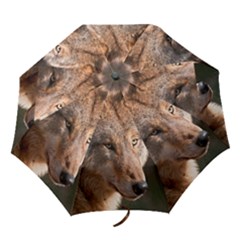 Folding Umbrella 