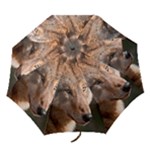 Wolf Folding Umbrella