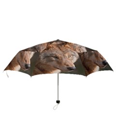 Folding Umbrella 