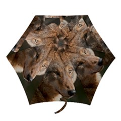Mini Folding Umbrella 