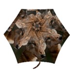 Wolf Mini Folding Umbrella