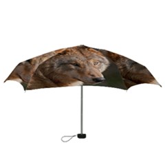 Mini Folding Umbrella 