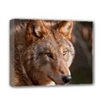 Wolf Deluxe Canvas 14  x 11  (Stretched)