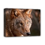 Wolf Deluxe Canvas 16  x 12  (Stretched) 