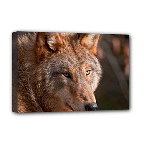 Wolf Deluxe Canvas 18  x 12  (Stretched) from ArtsNow.com