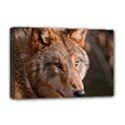 Deluxe Canvas 18  x 12  (Stretched) 