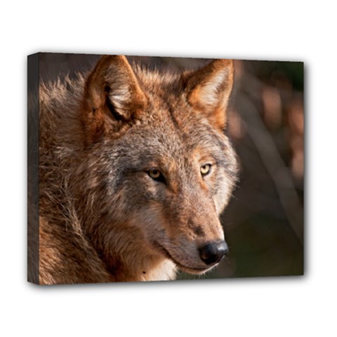 Wolf Deluxe Canvas 20  x 16  (Stretched) from ArtsNow.com