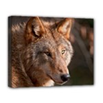 Wolf Deluxe Canvas 20  x 16  (Stretched)
