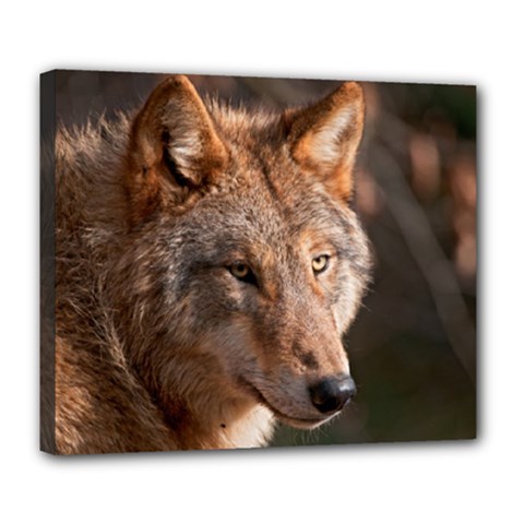 Wolf Deluxe Canvas 24  x 20  (Stretched) from ArtsNow.com