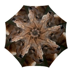 Golf Umbrella 