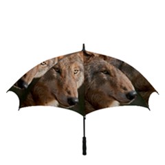 Golf Umbrella 