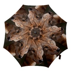 Hook Handle Umbrella (Small) 