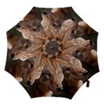 Wolf Hook Handle Umbrella (Small)