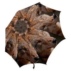 Hook Handle Umbrella (Small) 