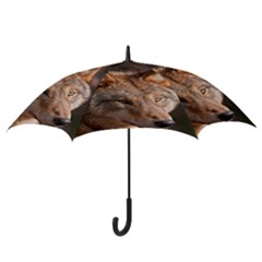 Hook Handle Umbrella (Small) 