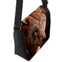 Flap Closure Messenger Bag (S) 